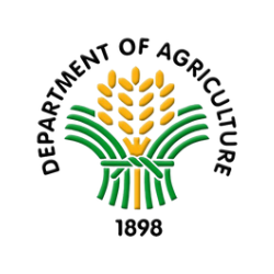 Department of Agriculture DA Careers Philippine Careers Philippine Government Jobs CSC Careers CSC Job Portal CSC Job Applications Civil Service Commission